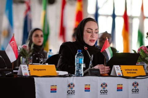 Mouza Mohammed Al Ghuwais Al Suwaidi