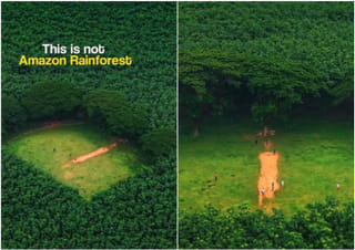 Video: Kerala’s hidden cricket ground looks like the Amazon - and it’s going viral!