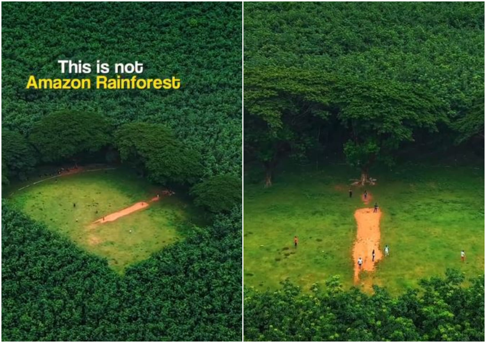 Hidden cricket field in Kerala mistaken for Amazon rainforest goes viral