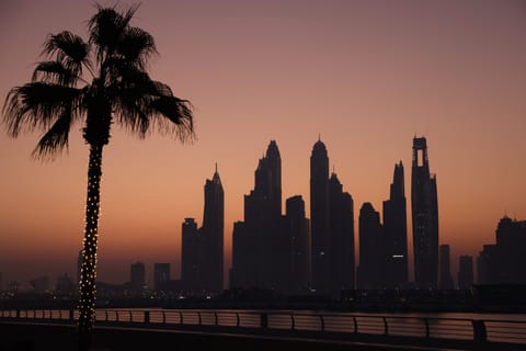 Dubai rents surge as demand jumps. What tenants need to know
