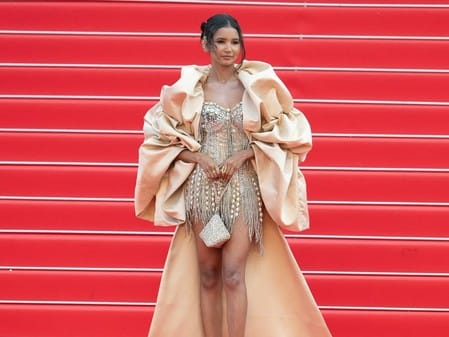 Nancy Tyagi claims she designed this outfit, but looks like only the cape was truly hers