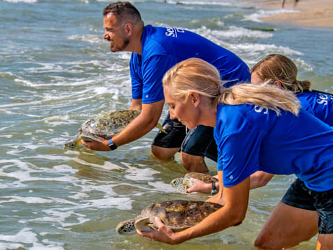 Yas SeaWorld Research & Rescue Centre (YSWRRC) is a hub where science, community, and genuine care converge to protect the marine ecosystems.