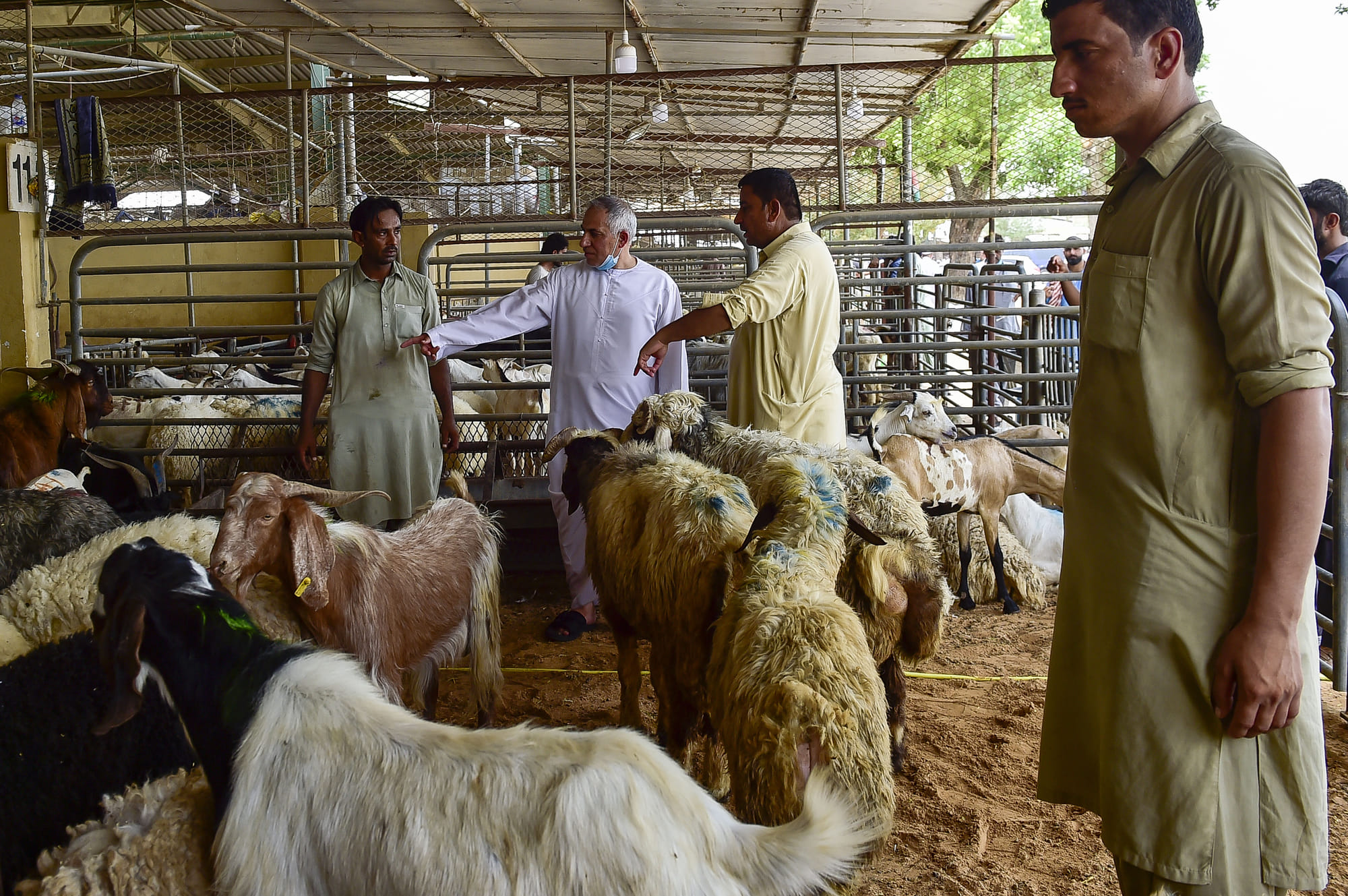 Eid animal slaughtering