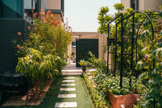 How to keep your UAE garden blooming in 50 °C — according to Dubai gardeners 