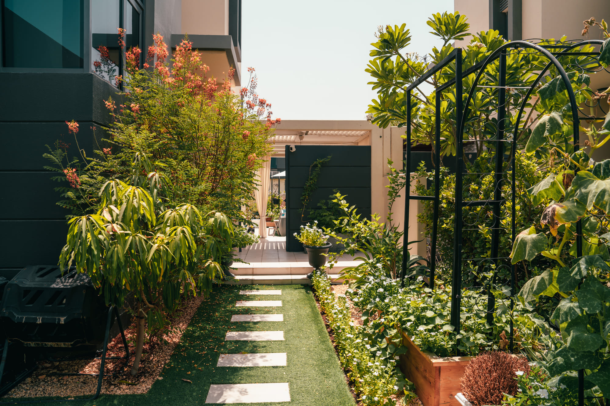 Here’s how you can nurture a few potted herbs on your high-rise balcony or tending to a full-fledged villa garden, through scorching heat.