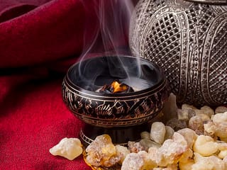 Frankincense, the secret guarded by ‘winged snakes’: The prized resin from the Middle East