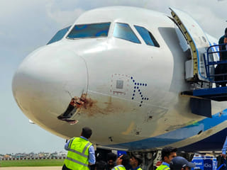 IndiGo flight makes emergency landing in Ranchi after bird strike