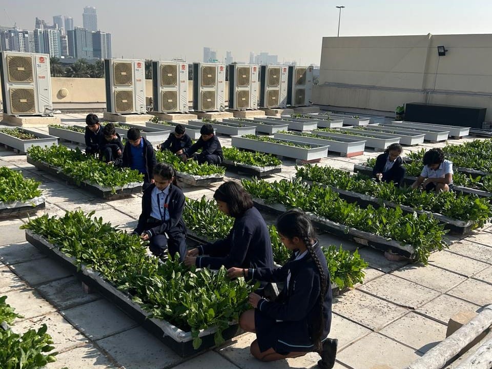The proprietary model, called ASPIRE, is a ‘school-in-a-box’ framework developed by educators across GEMS’ global network. Students of GEMS Our Own Indian School in Dubai engaged in terrace farming (Picture used for illustrative purposes). 