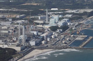 Japan allows longer nuclear plant lifespans