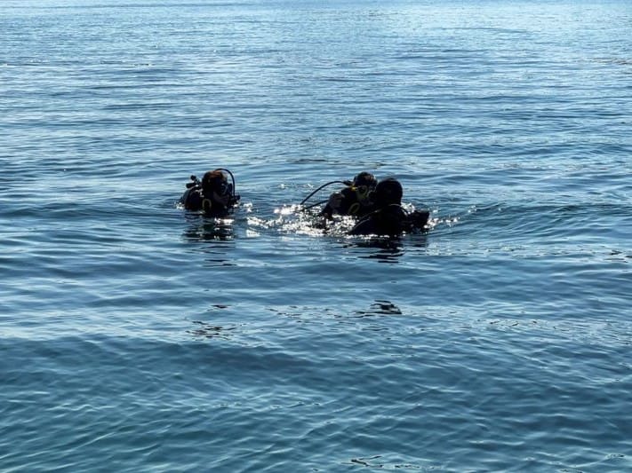 NAT 220110 FUJAIRAH WINTER - SCUBA ARAMZAN-4-1642828698703