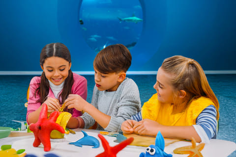 Yas Island summer camp: A thrilling  adventure awaits kids in Abu Dhabi