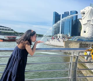 Boom in intra‑Asean travel; bust in Schengen, US visa applications