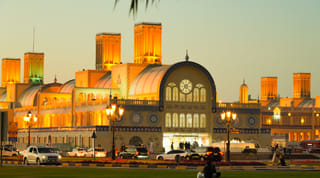 UAE in focus: Serene skies, fiery blooms, and coastal calm 