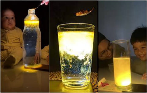 DIY turmeric glow: The viral trend captivating  Instagram, Facebook, YouTube, TikTok, WhatsApp, and beyond