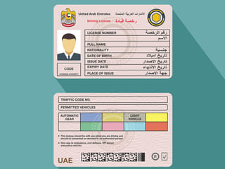 UAE traffic fines: Up to Dh100,000 for no licence