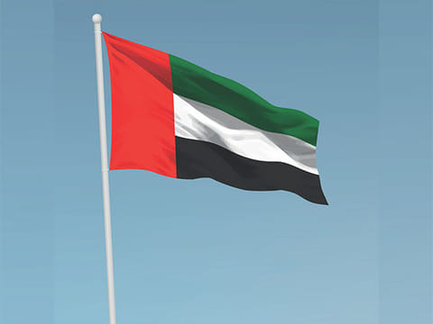 Flag of UAE 