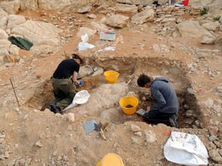 Sharjah: 80,000-year-old tools found, discovery reveals 210,000 years of human settlement