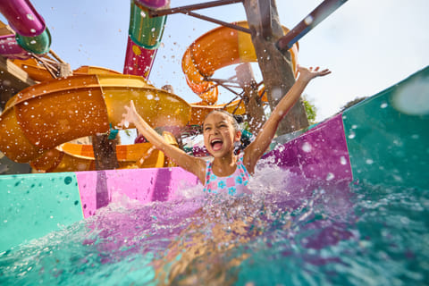 Matamir’s Drop leads high-thrill lineup as park grows to over 70 rides and slides