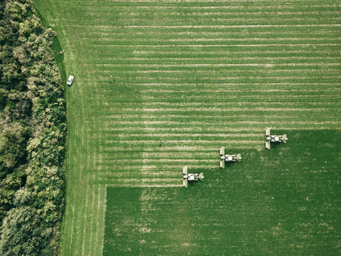 Al Dahra's 2024 report highlights carbon credit milestone amid climate challenges