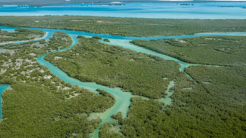 Abu Dhabi's EAD achieves carbon neutrality certification twice, leading UAE's climate efforts