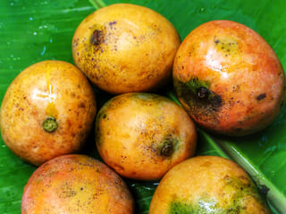 My favourite mango: You’ve probably never heard of, and it comes from India