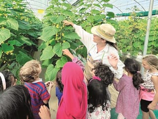 Abu Dhabi launches summer activities to boost student learning and development