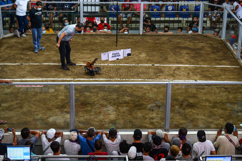 People watch as a referee officiates a cockfighting match at the San Pedro Coliseum in Laguna province on August 26, 2022.