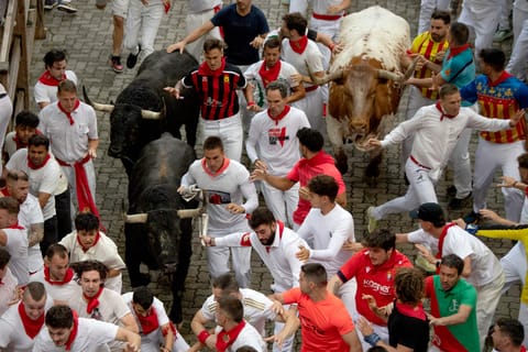 Participants run with the bulls during the first "encierro" (bull-run) of the San Fermin festival in Pamplona, northern Spain.