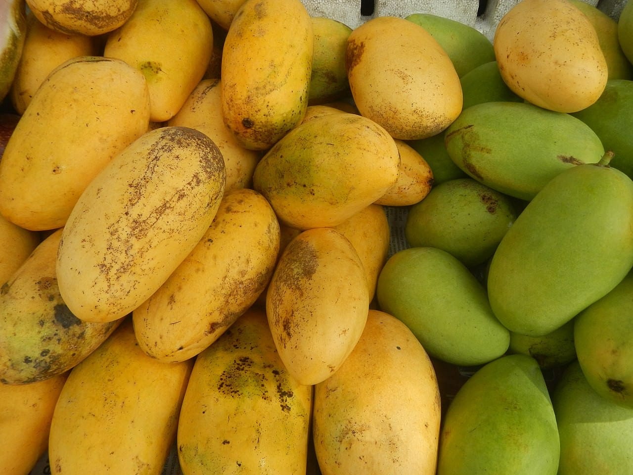 Carabao mango was once crowned "The Sweetest Mango in the World" by the Guinness Book of World Records in 1995.