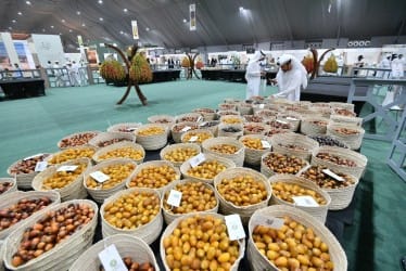 This year’s festival features 24 competitions, including 12 contests for date varieties.