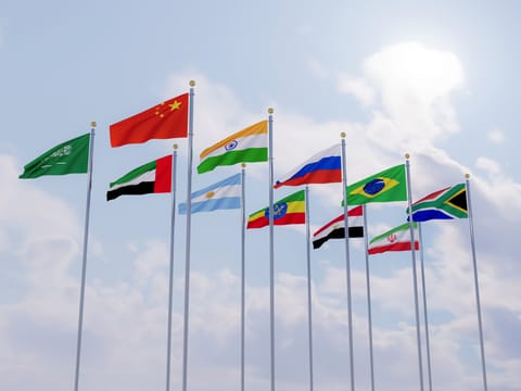 New blocs, like BRICS, appear to derive strength from cohesion and cooperation based on pursuing shared interests, mutual trust, common benefit, and consultation.