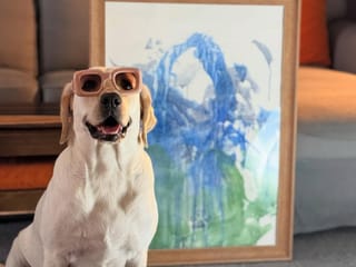 Meet Dali, India’s first known K9 artist, raising funds for stray animals