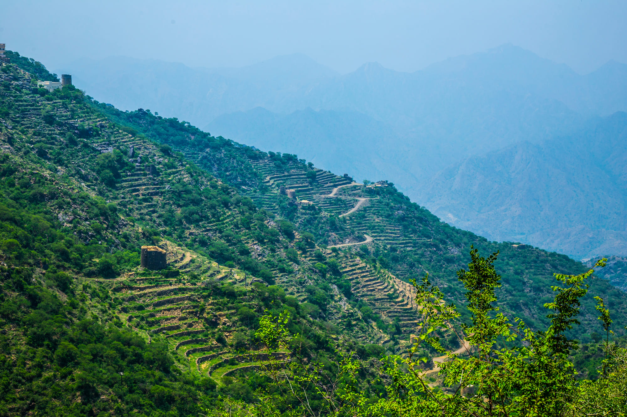 Escape the heat this summer with Aseer’s cool mountain climate, misty peaks, lush greenery, and rich cultural heritage - all just a short flight from the UAE. 