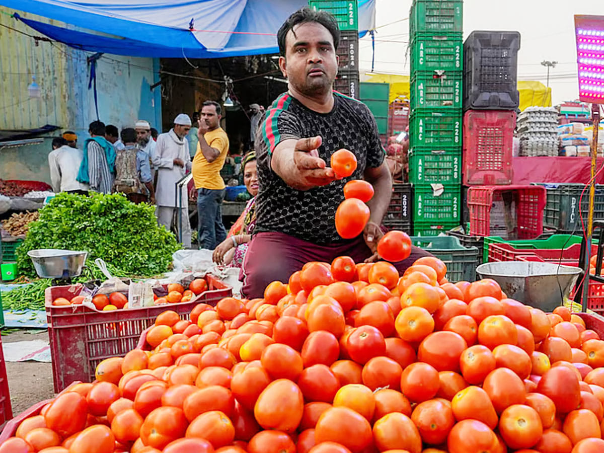A vendor arranges tomatoes on a cart in New Delhi. (Picture for illustrative purpose only)
