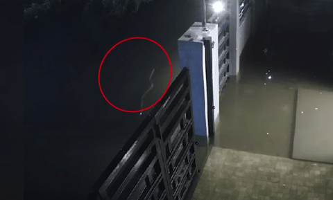 Recent floods in the Philippines brought a slithering surprise as low-lying communities were submerged much of central Luzon, including large parts of Malolos, with some barangays reporting thigh-deep inundations. 