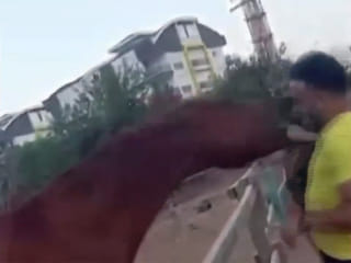 Video: Horse in Turkey bites three-year-old, lifts him 3 metres in the air