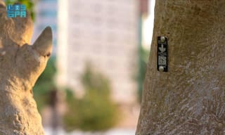 Saudi Arabia Embarks on Green Smart City Transformation with 100,000 Tree Tags in Al Khobar