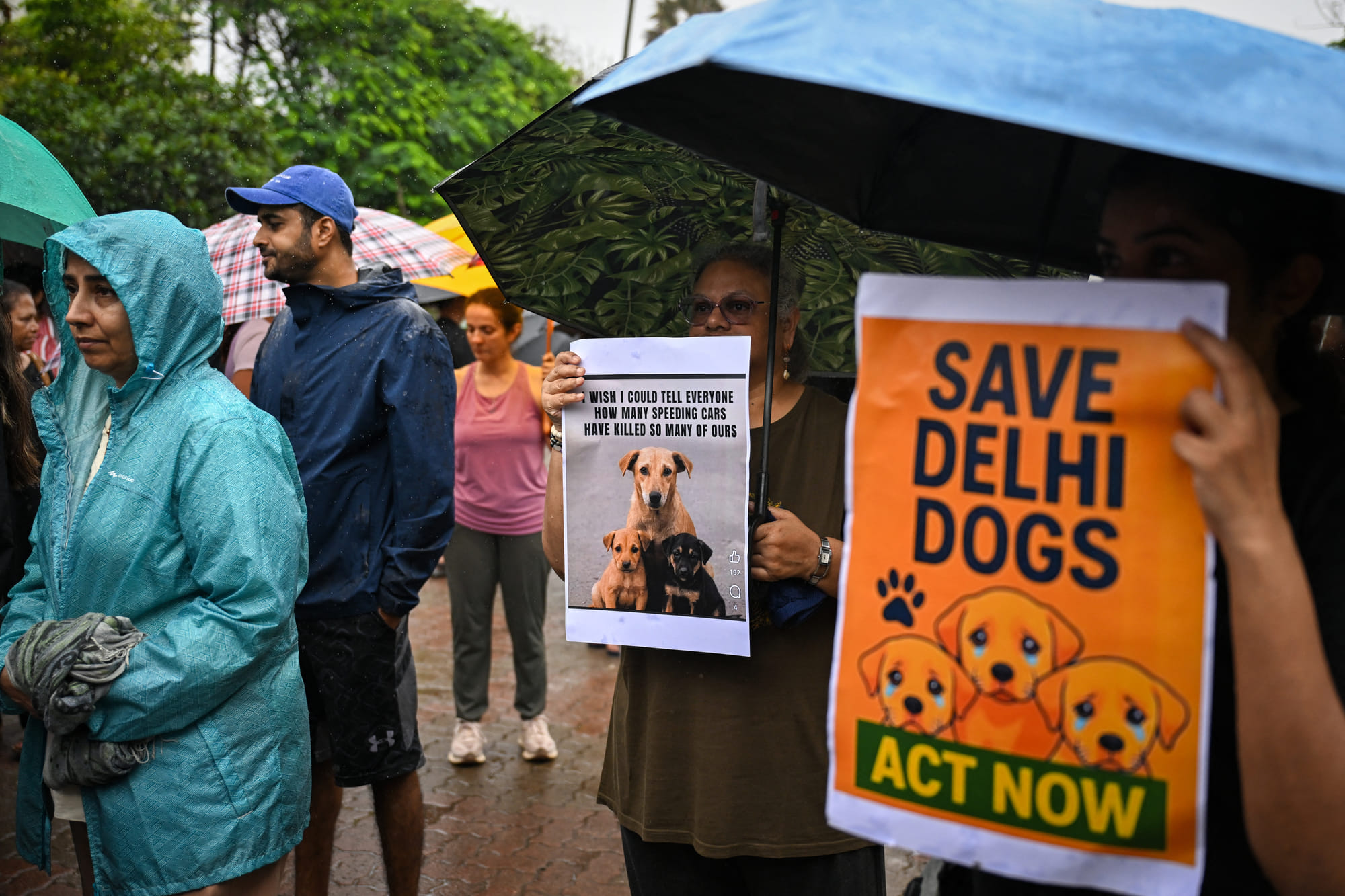 Residents hold placards during a protest in Mumbai on August 14, 2025, against India's Supreme Court order of the removal of stray dogs from the capital, citing public safety concerns after a surge in dog bites.