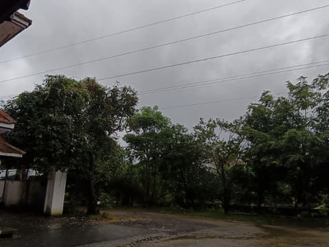 The state is expected to receive heavy rainfall until August 20, with multiple districts placed under weather alerts.