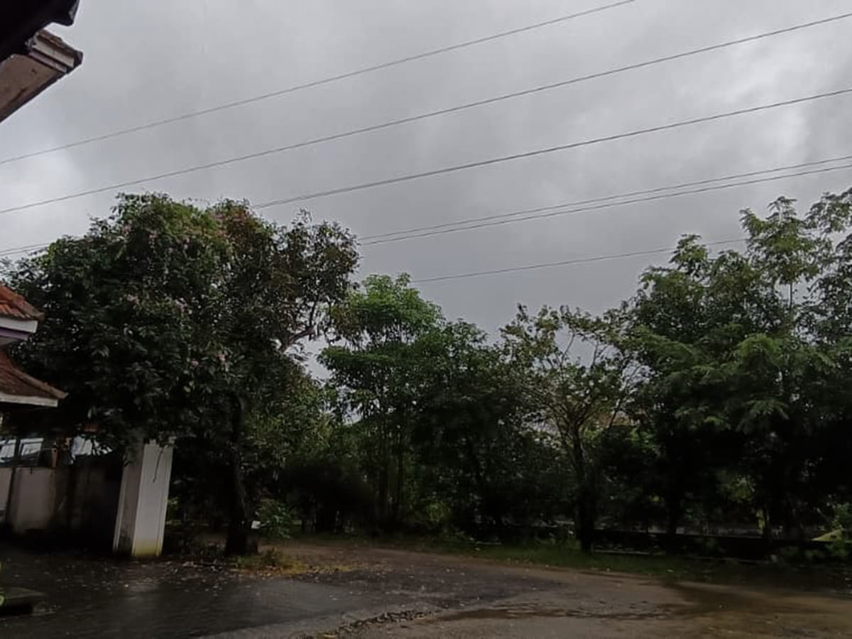 The state is expected to receive heavy rainfall until August 20, with multiple districts placed under weather alerts.