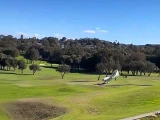 Video: Plane makes emergency landing on Mona Vale Golf Course in Sydney