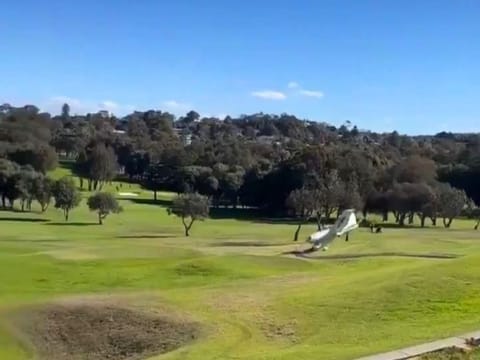 Despite the heavy impact, the plane remained mostly intact.