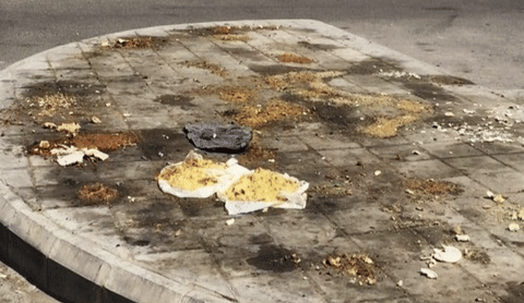 Discarding food in public spaces poses risks to hygiene, public health and the environment. 