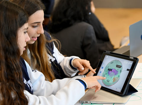 UAE schools to introduce AI curriculum without exams