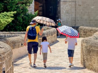 Extreme heat kills more than 1,300 people in Portugal