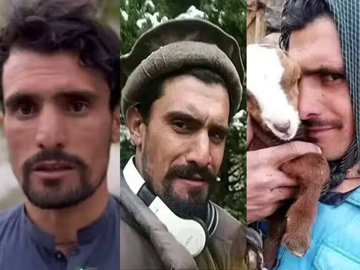Sheperd pakistan
