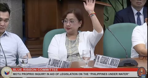 Sarah Discaya attends the Senate Blue Ribbon Committee hearing on flood control projects on Monday (September 1, 2025). The Discayas are reportedly owners of Alpha & Omega Gen. Contractor & Development Corp. (AOGCD), one of the 15 construction companies identified by President Marcos as having secured a disproportionate share of flood control projects in the Philippines. Between July 2022 and May 2025, under the Marcos administration, the government allocated over ₱545 billion for nearly 9,855 flood-control projects nationwide. Alpha & Omega alone was awarded 103 projects valued at approximately ₱7.3 billion.