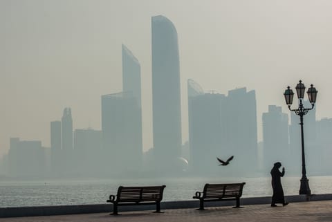 How AI became the biggest bet for sovereign wealth funds.
