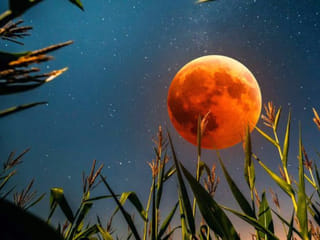 Why September's Corn Moon is also a 'Blood Moon' for UAE skywatchers