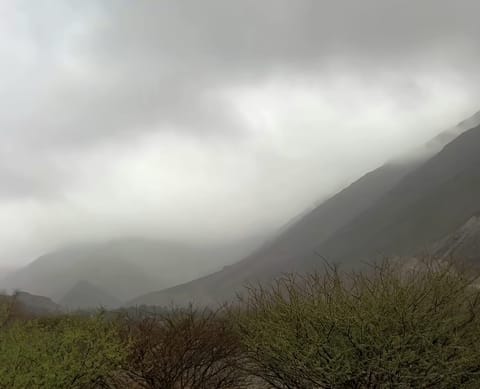 Rain in Fujairah